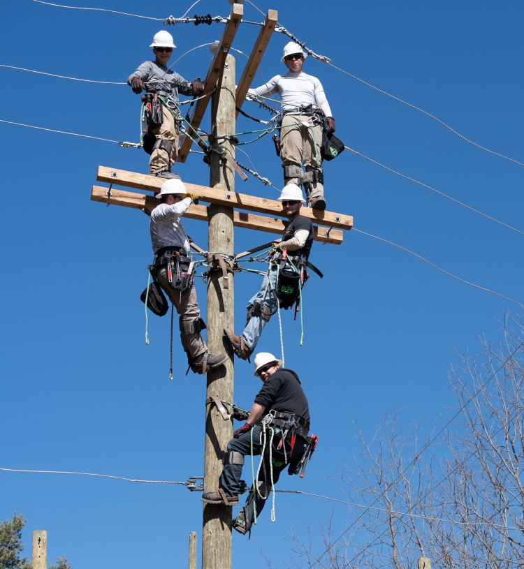 Power Line graduates